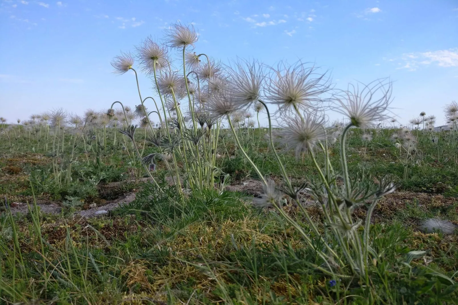 6 persoons vakantie huis in Ljugarn-By Traum-Niet-getagd