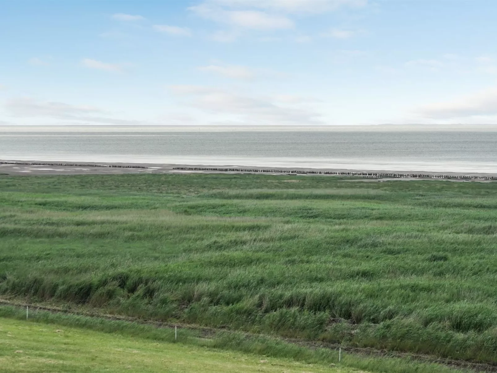 "Stilla" - 35km from the sea