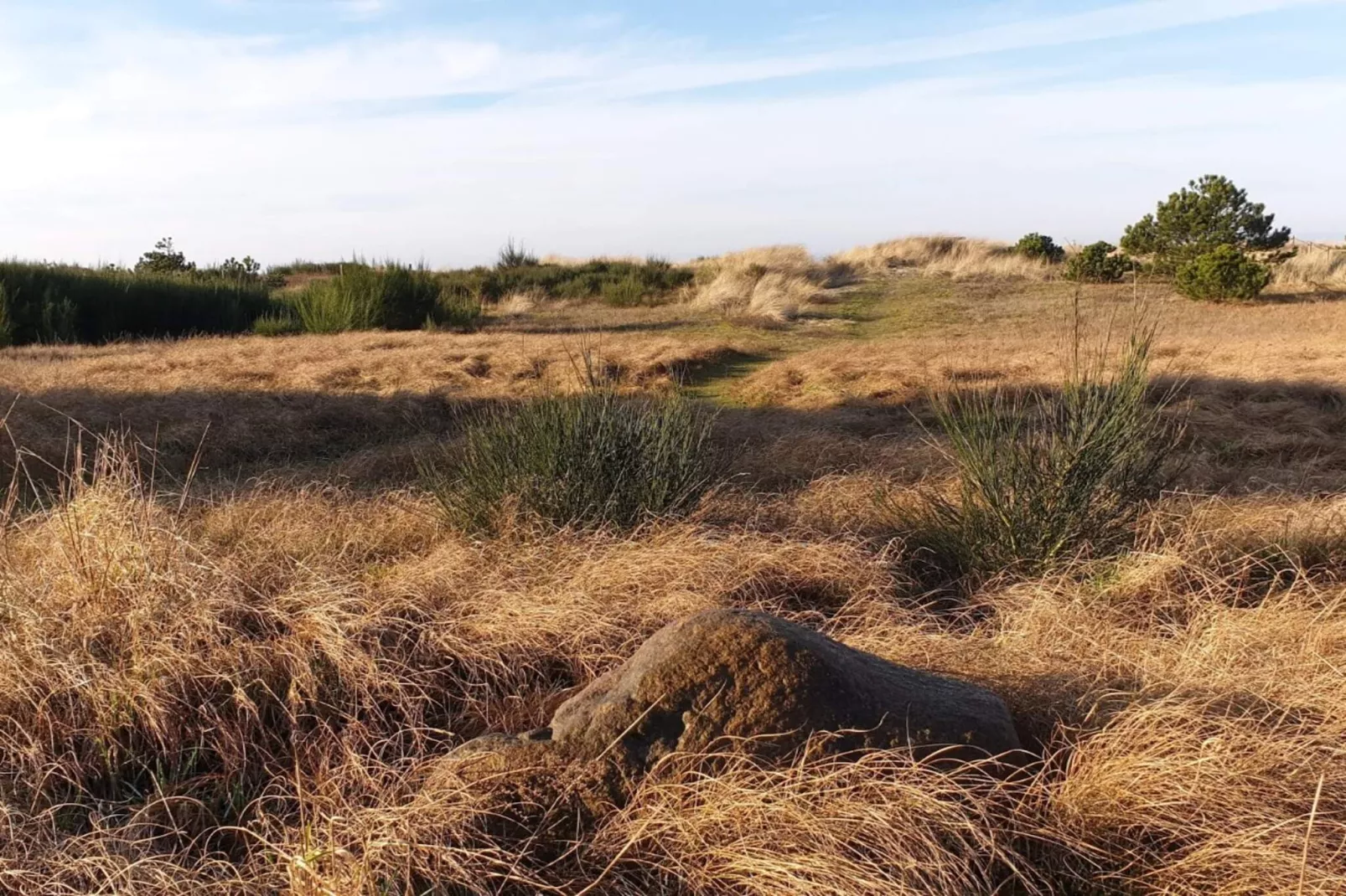 8 persoons vakantie huis in Store Fuglede-By Traum-Niet-getagd