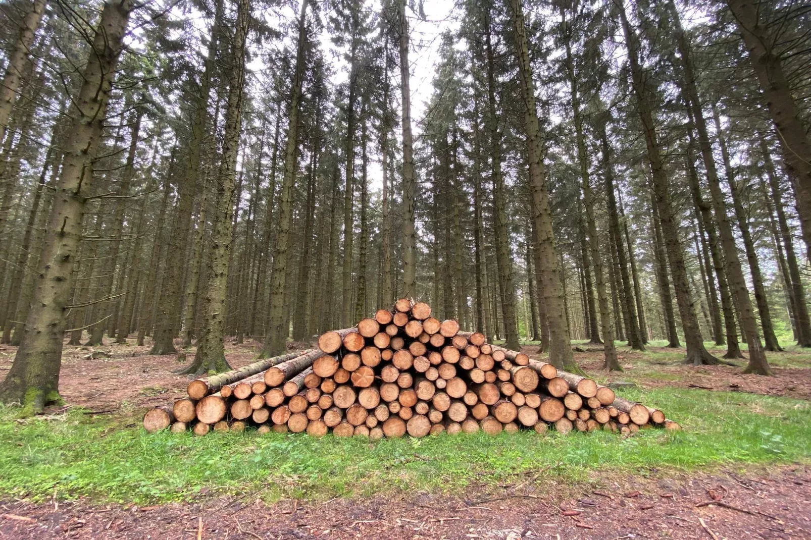 4 persoons vakantie huis in Østervrå-By Traum-Niet-getagd