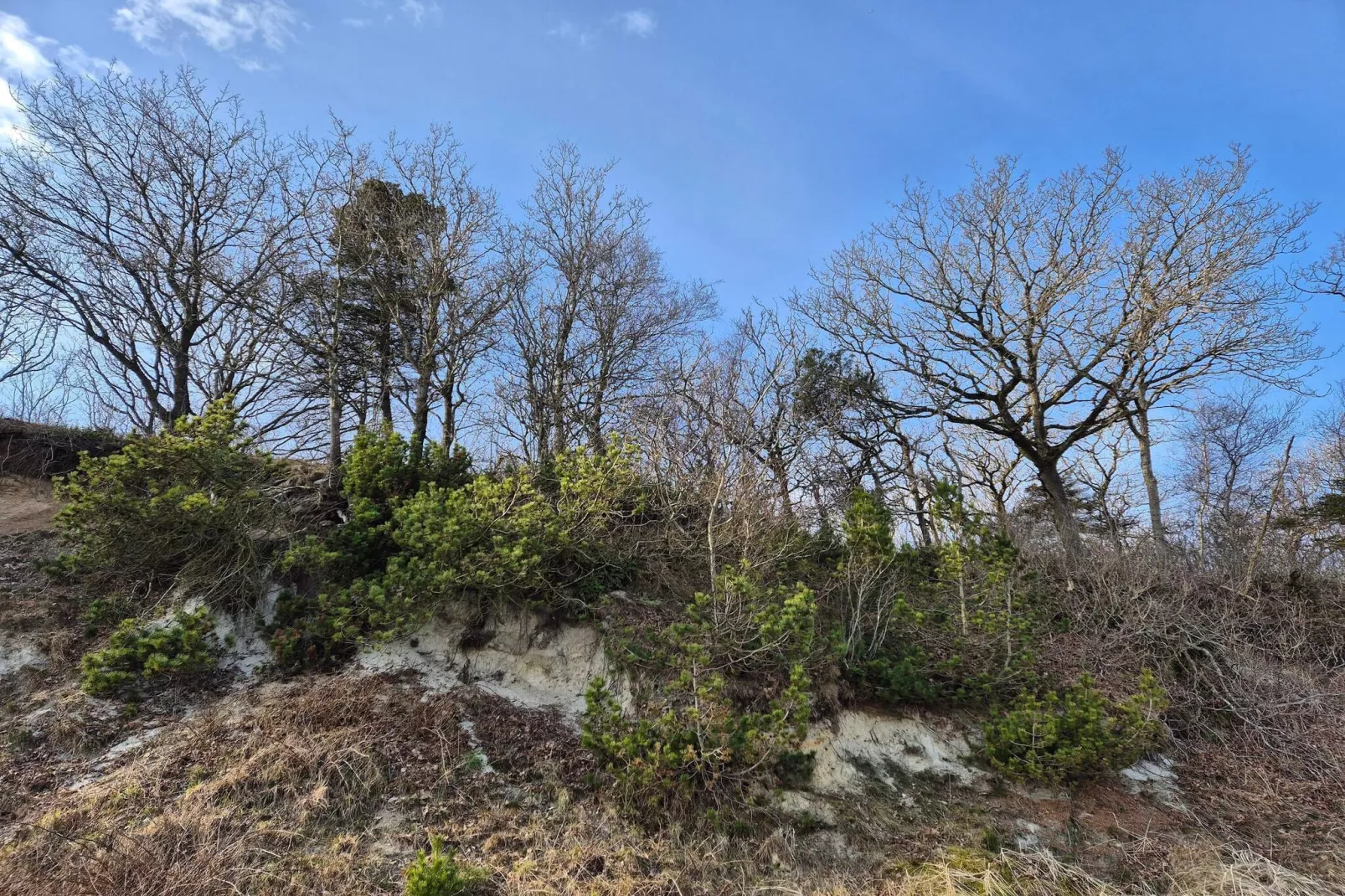 6 persoons vakantie huis in Thyholm-By Traum-Niet-getagd