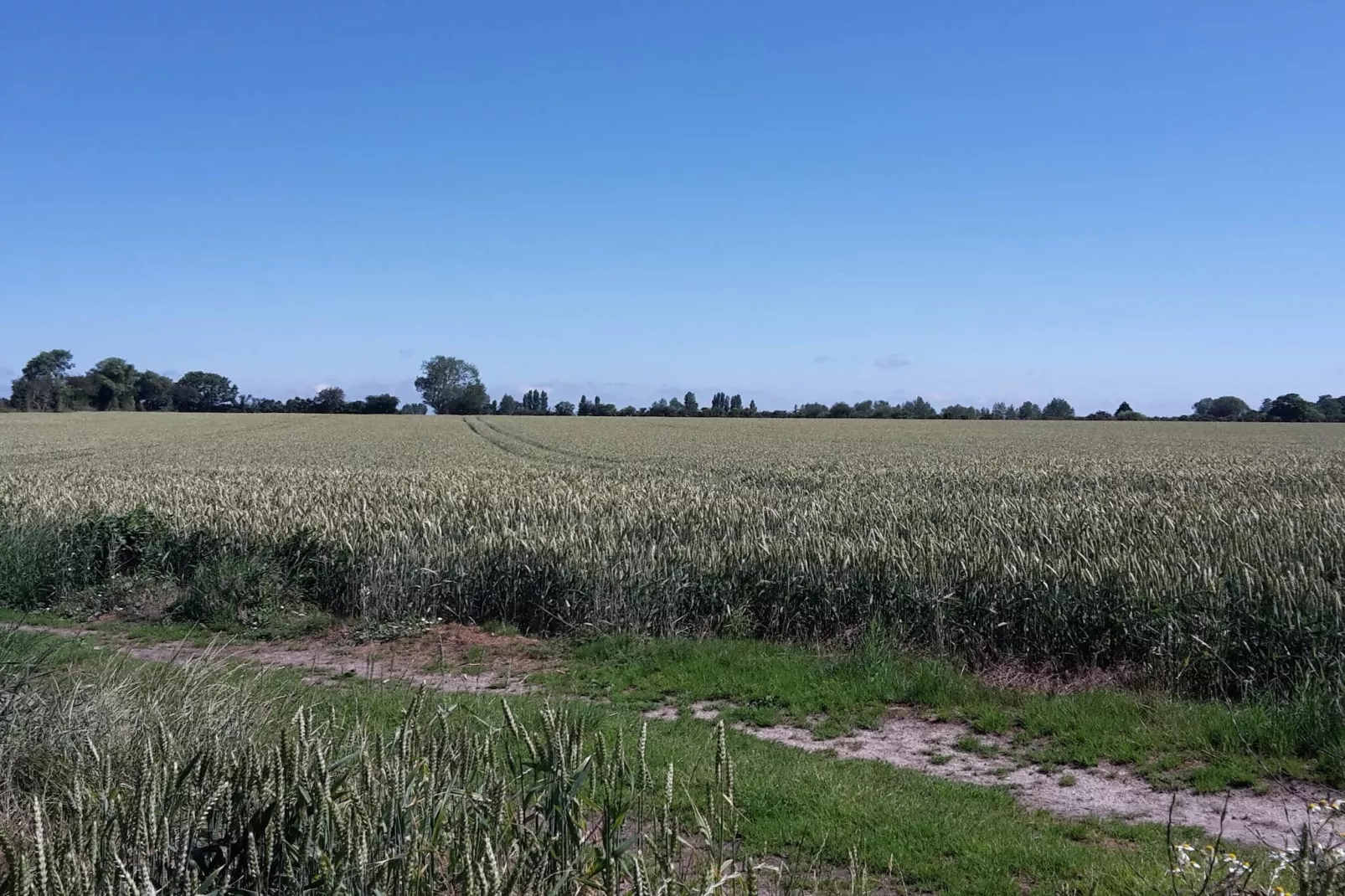 10 persoons vakantie huis in Marstal-By Traum