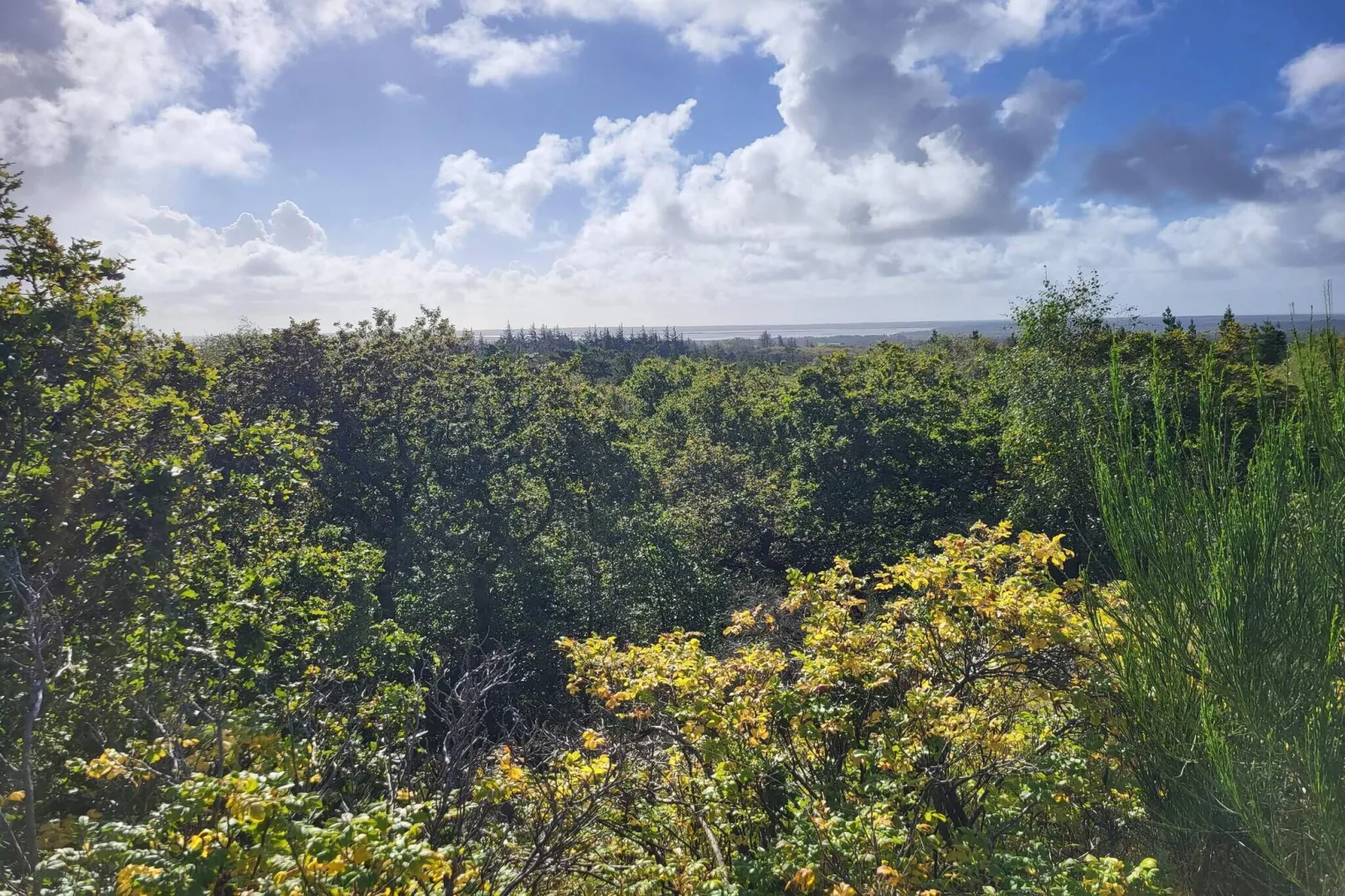 6 persoons vakantie huis in Henne-Niet-getagd