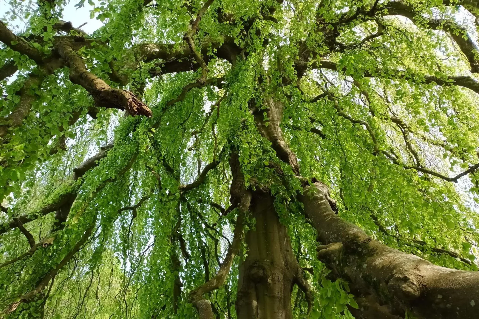 8 persoons vakantie huis in Øster Assels-By Traum-Niet-getagd