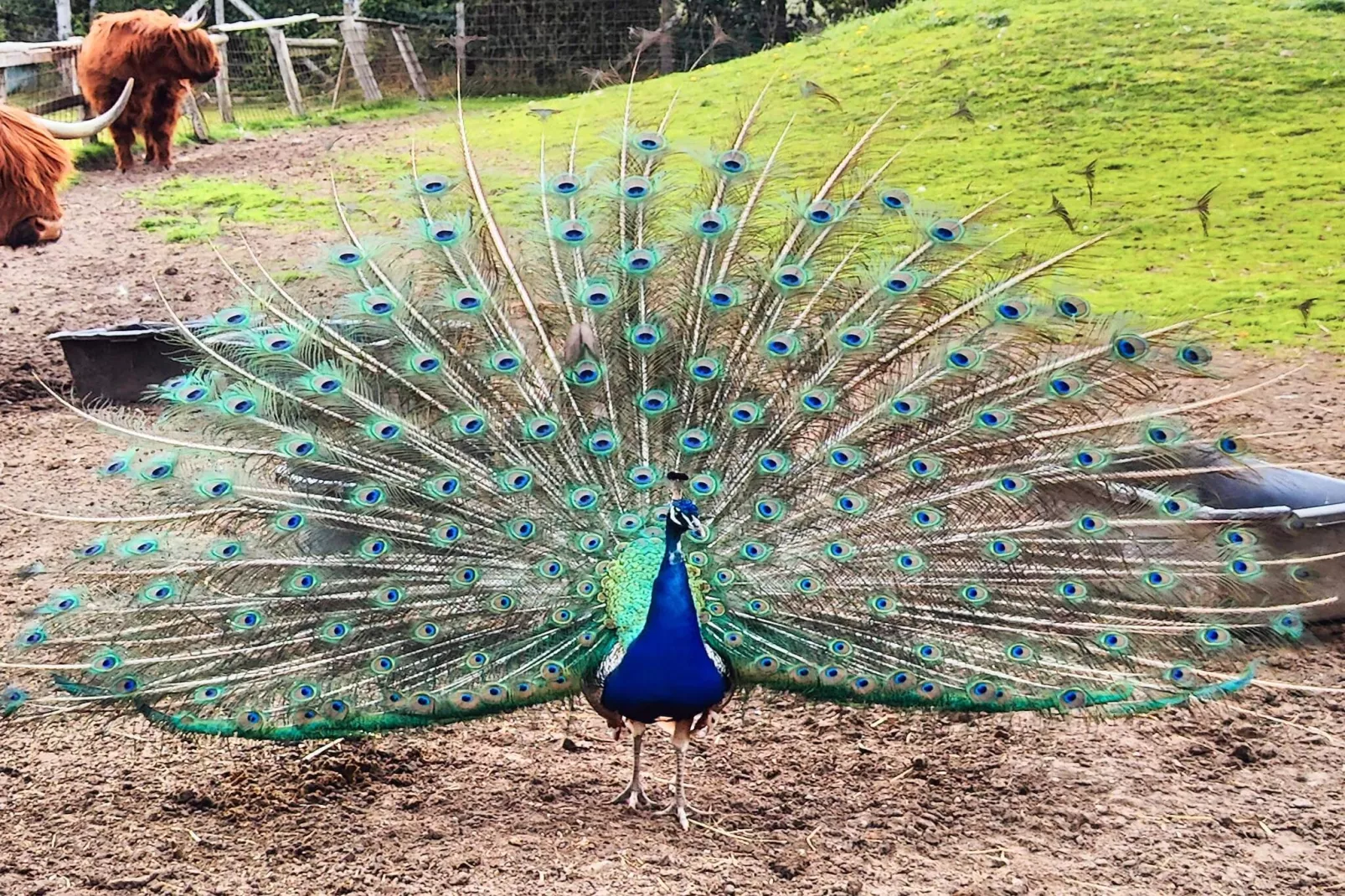 5 sterren vakantie huis in Vig-By Traum-Buitenlucht