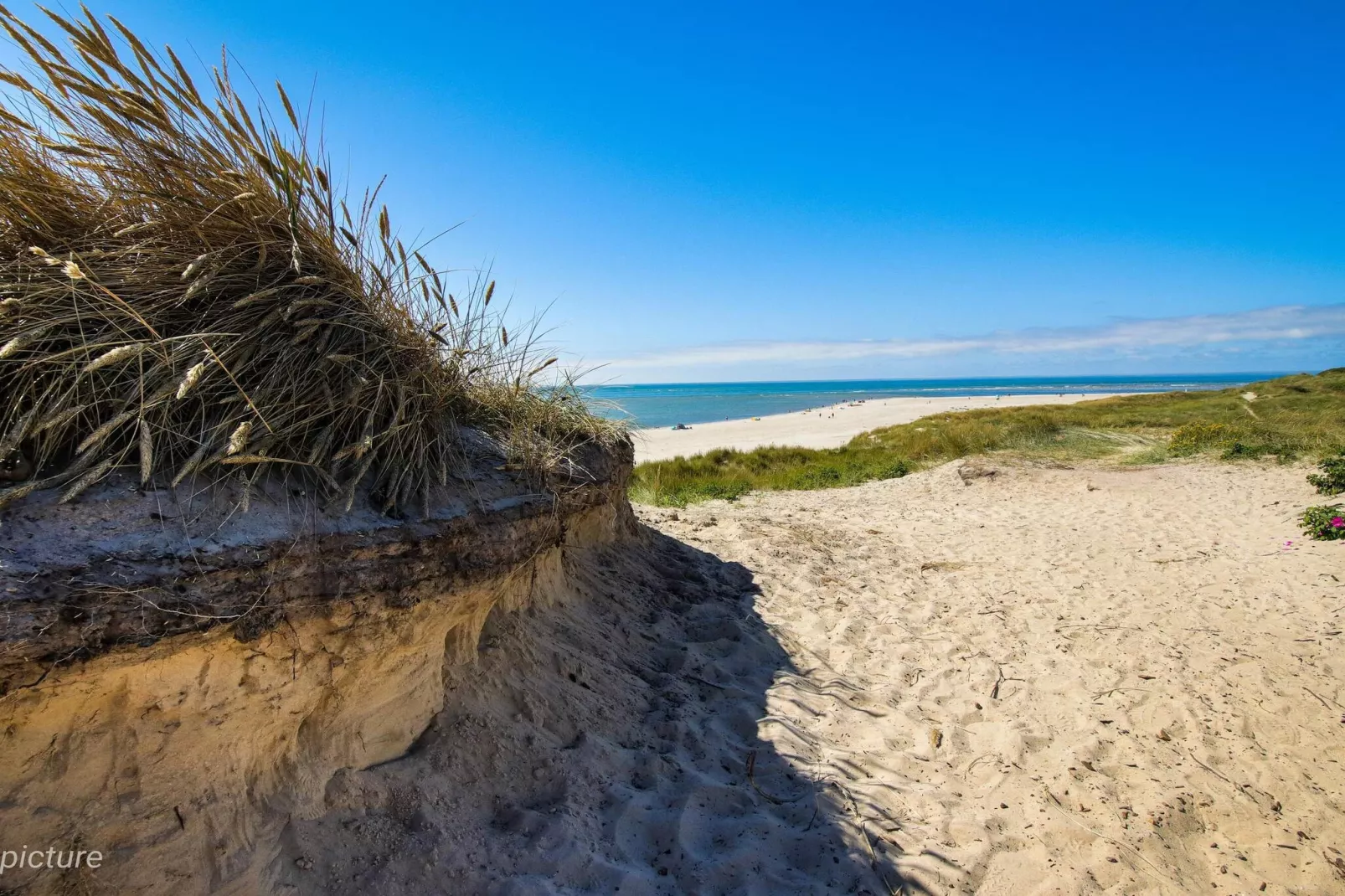 8 persoons vakantie huis in Blåvand-By Traum