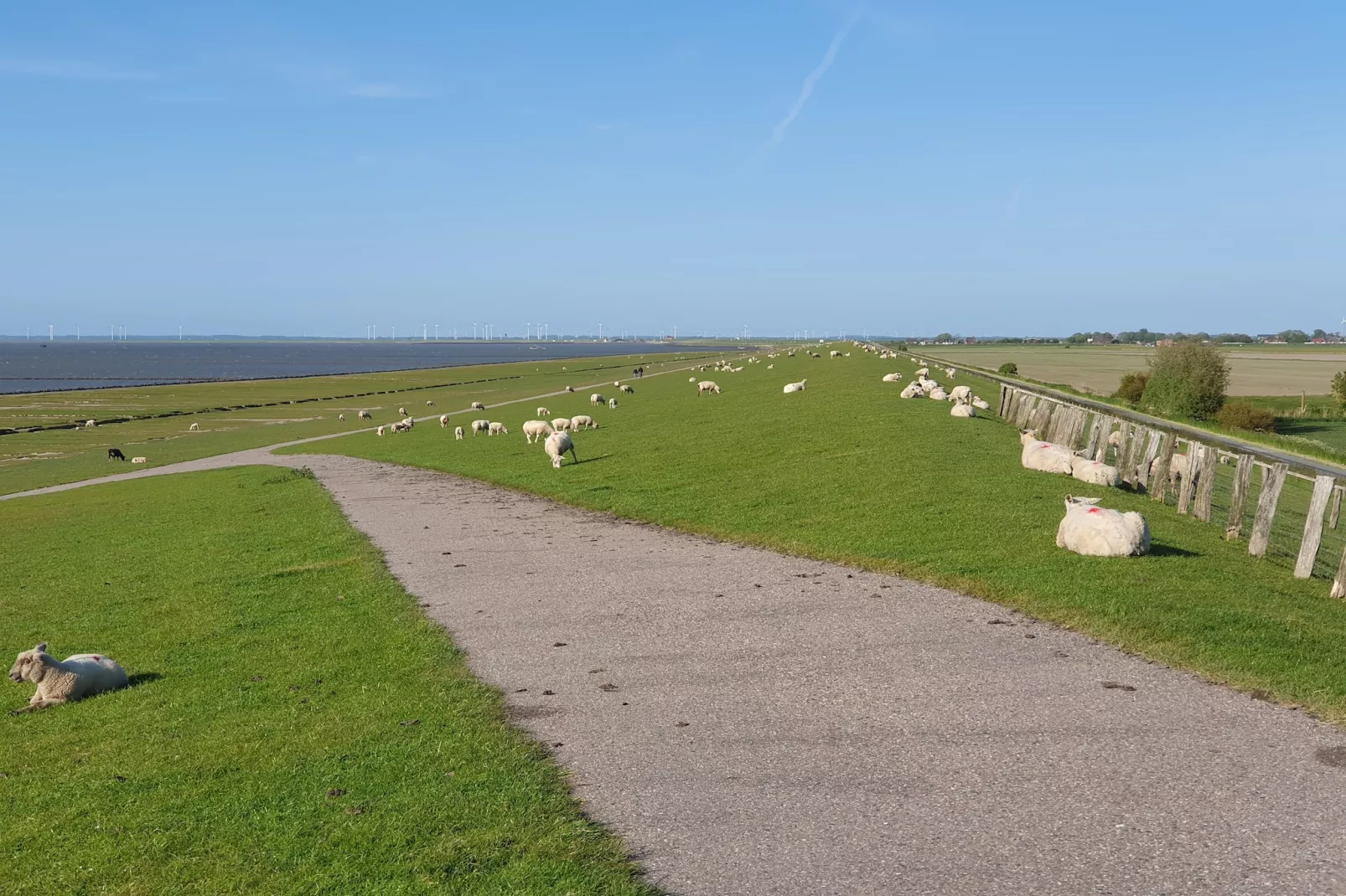 SeeZeichen auf Nordstrand - 4 Personen-Gebieden zomer 1km