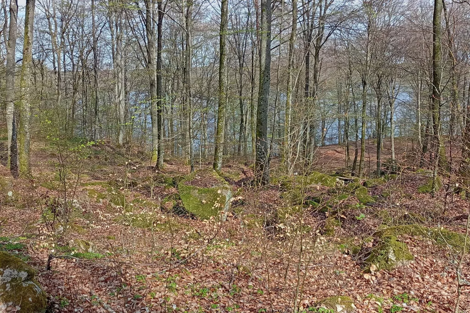 6 persoons vakantie huis in Olofström-By Traum-Niet-getagd