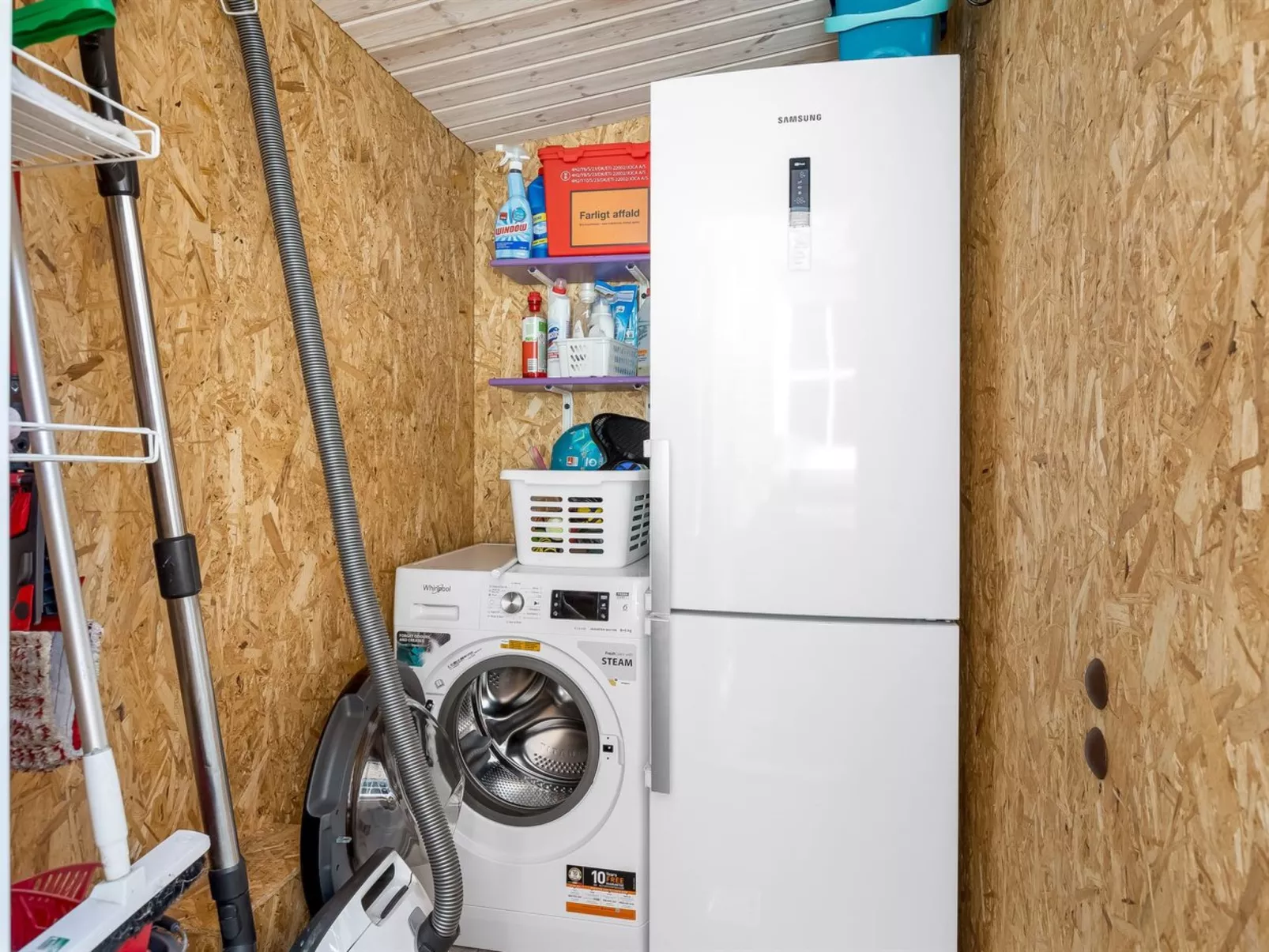 "Sondra" -  from the sea