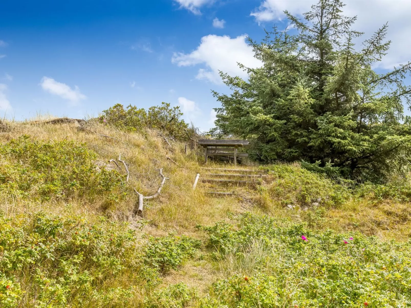 "Tineke" - 800m from the sea