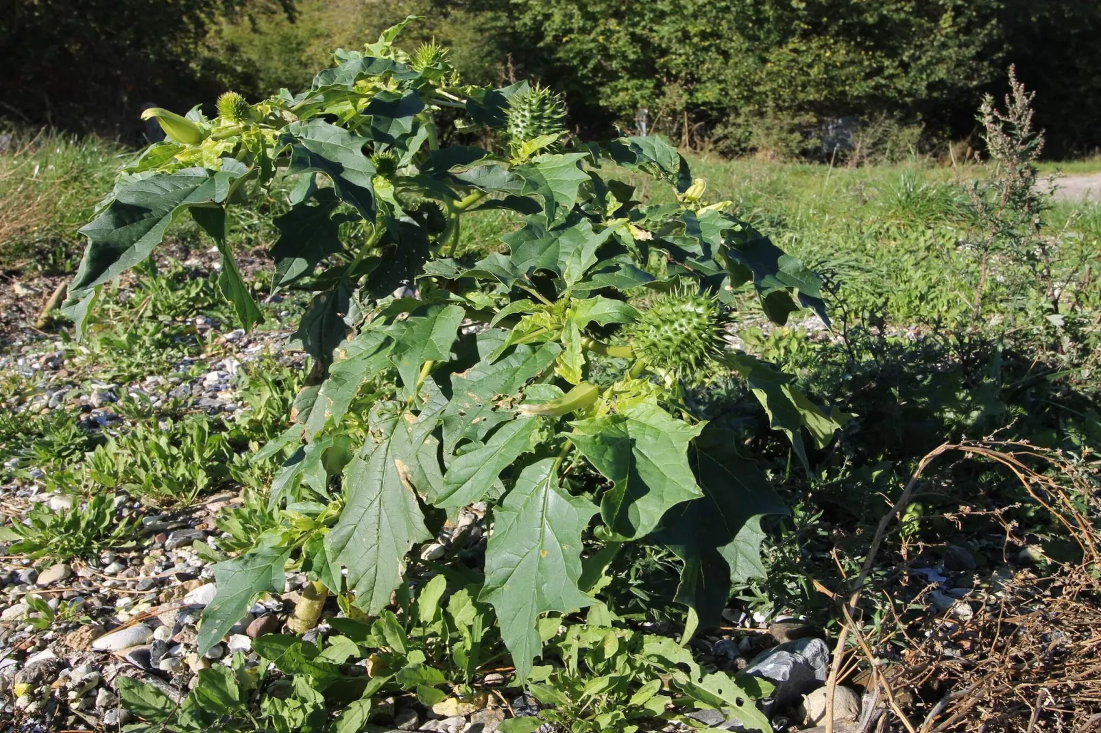 6 persoons vakantie huis in Skibby-By Traum-Niet-getagd