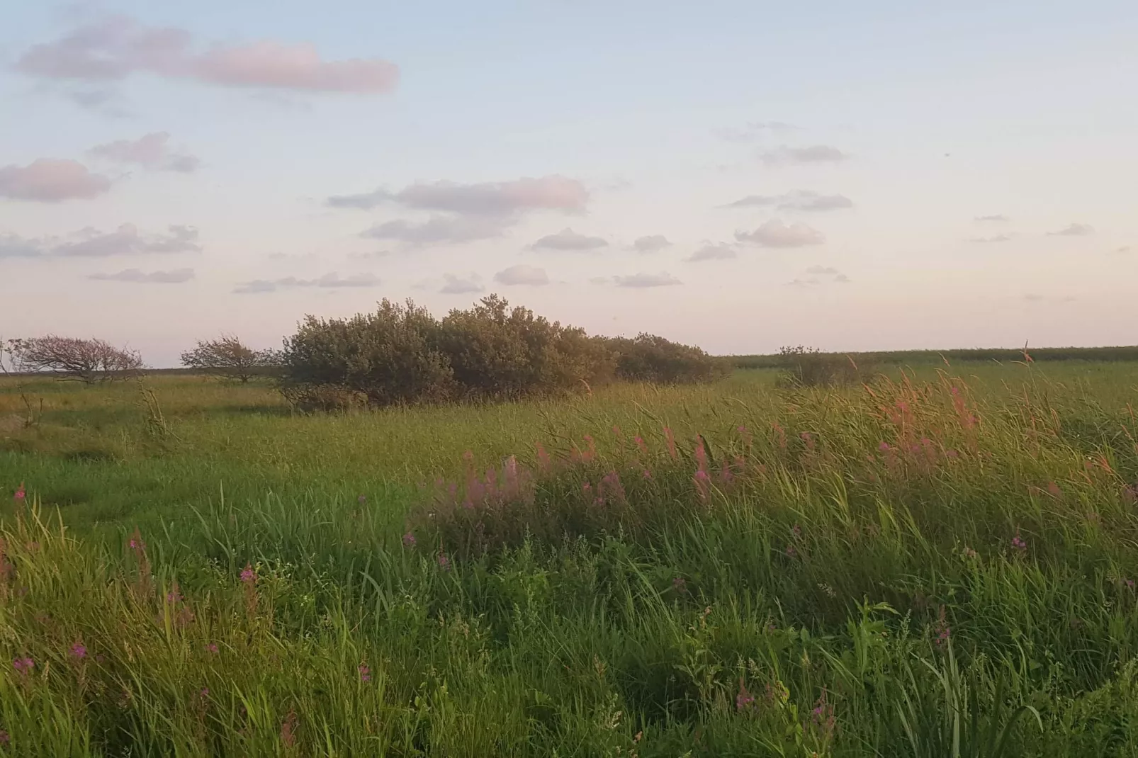 8 persoons vakantie huis in Skjern-By Traum