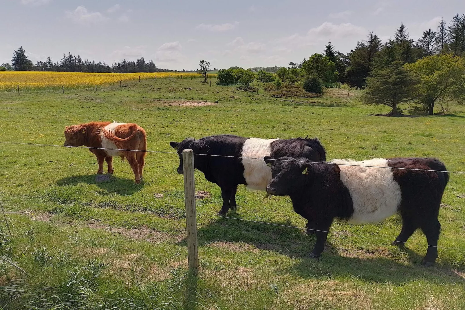 7 persoons vakantie huis in Fjerritslev-By Traum