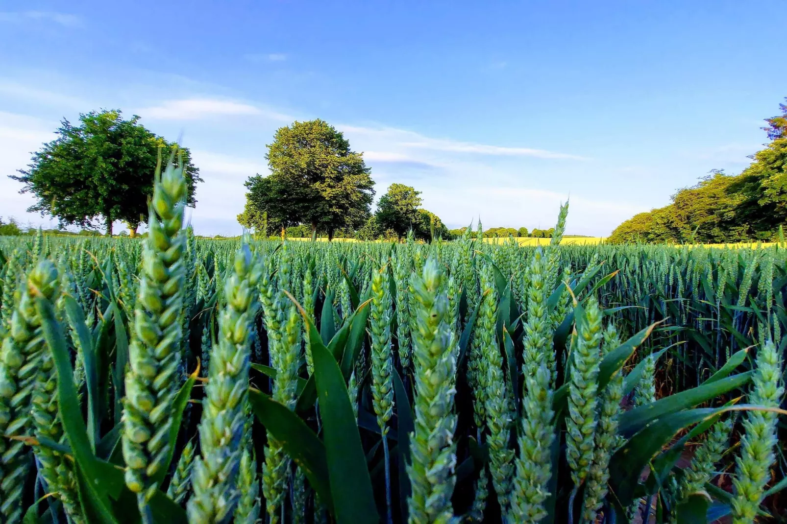 4 persoons vakantie huis in Borre-By Traum-Niet-getagd