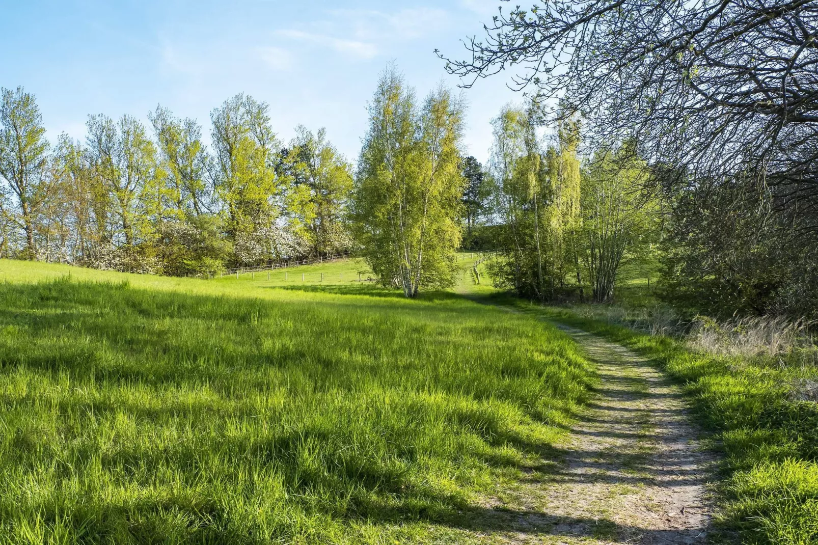 6 persoons vakantie huis in Frederiksværk-By Traum-Buitenlucht