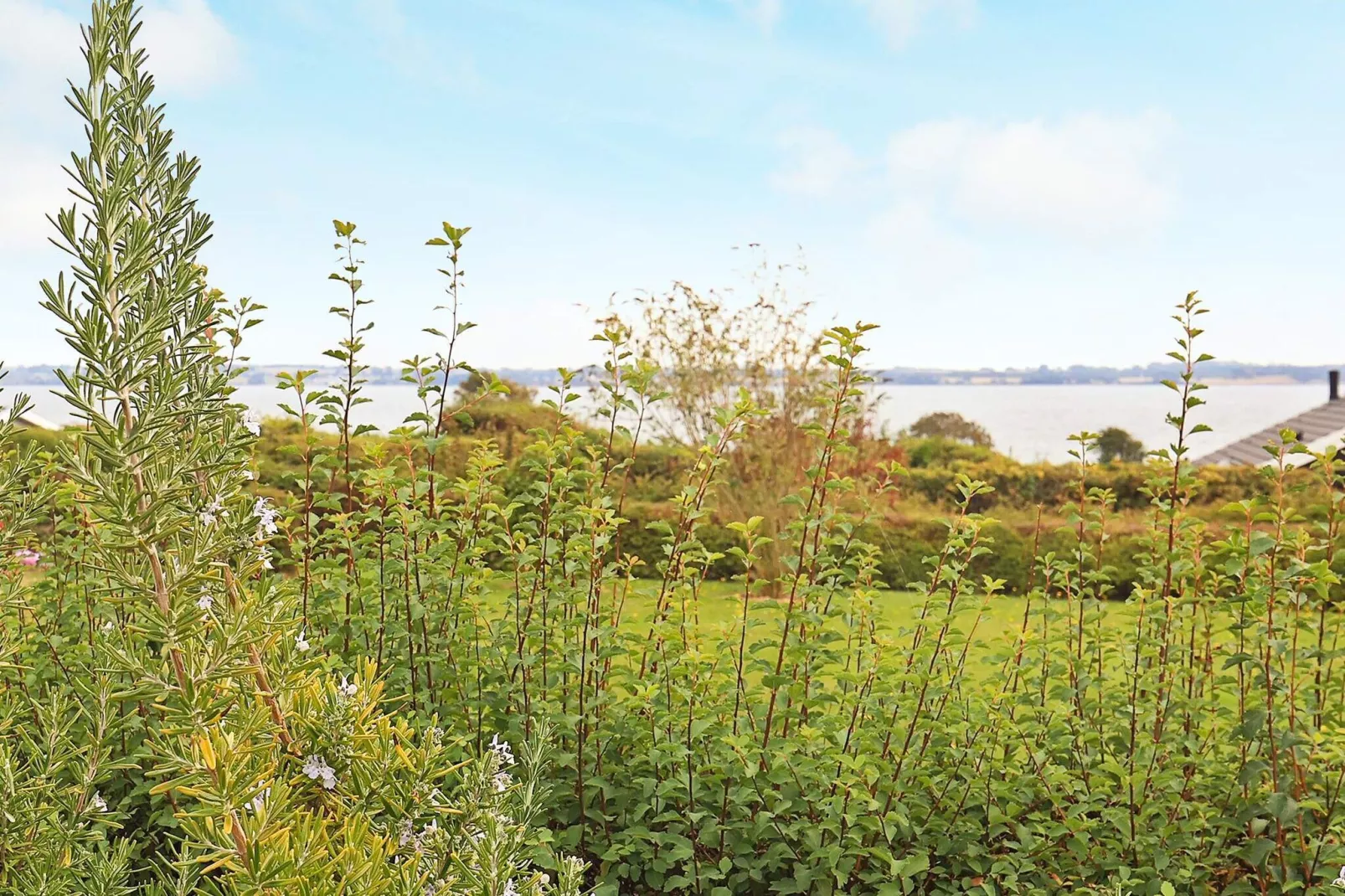 8 persoons vakantie huis in Ebberup-By Traum-Waterzicht