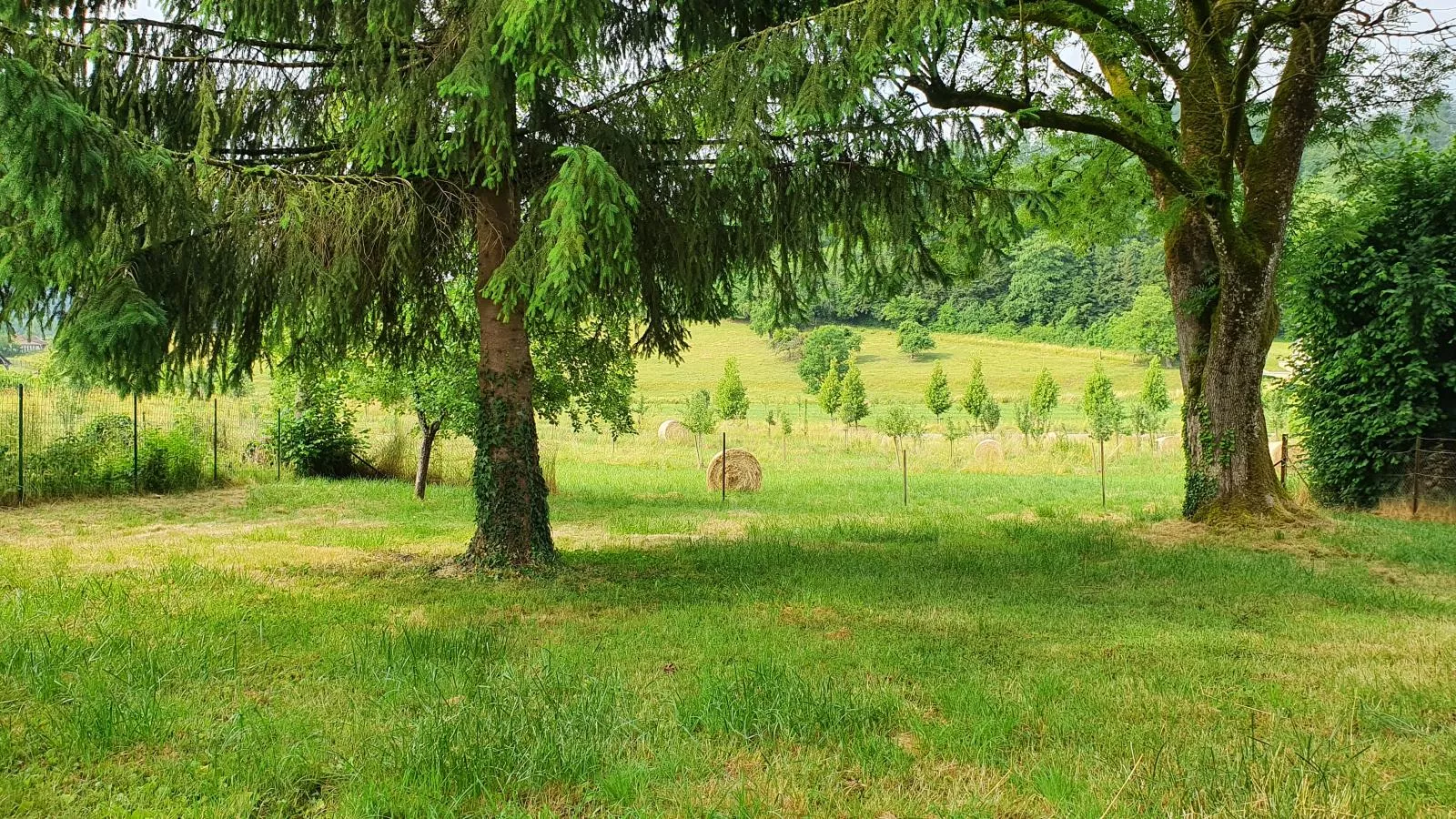 Gite du Verger-Tuinen zomer