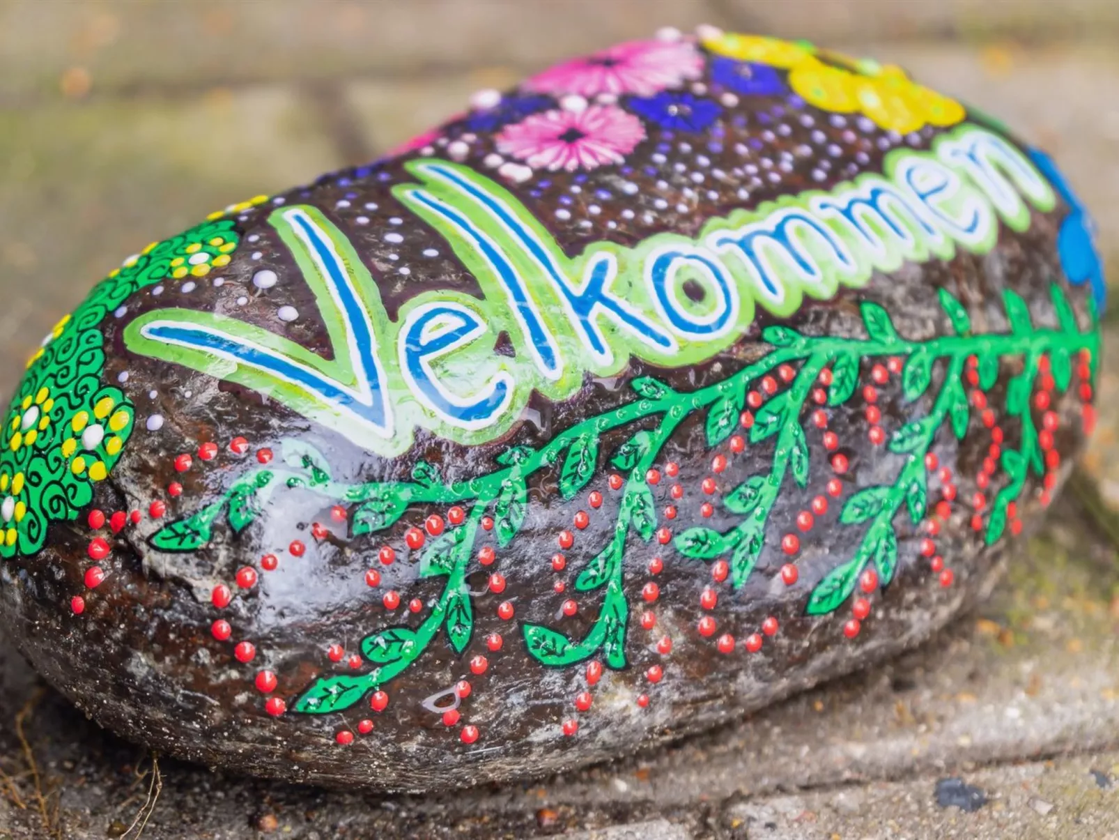 "Isbiorn" - 300m from the sea