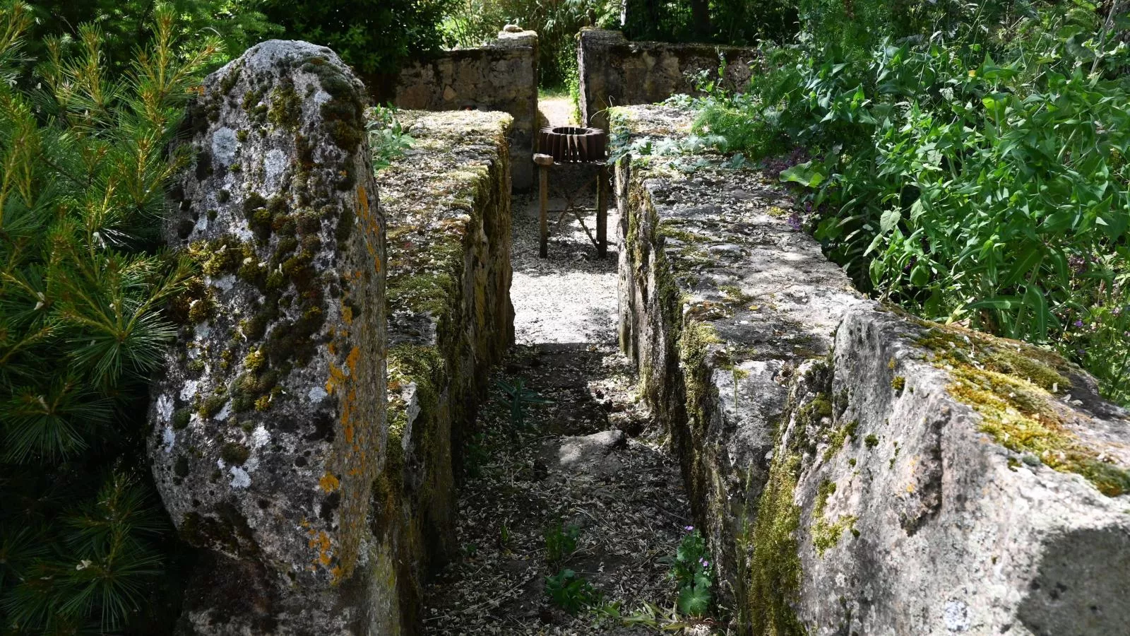 Jardins Fleuries-Tuinen zomer