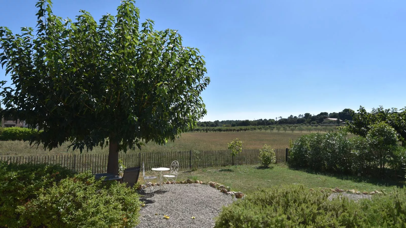 La petite truffe-Uitzicht zomer