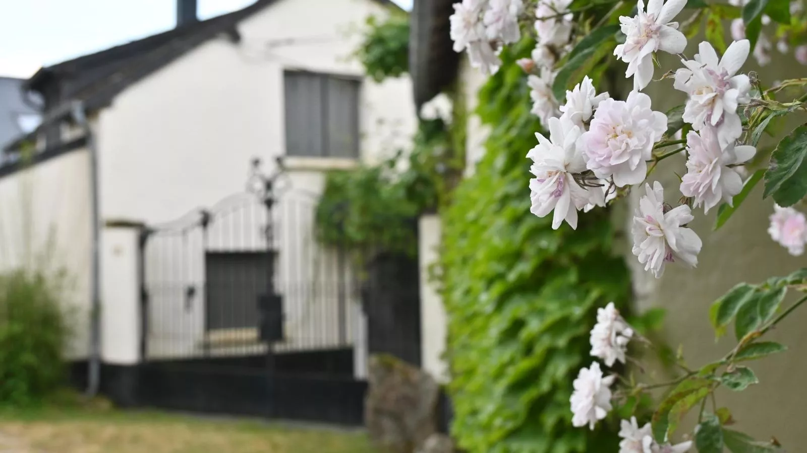 Jardins Fleuries-Sfeer