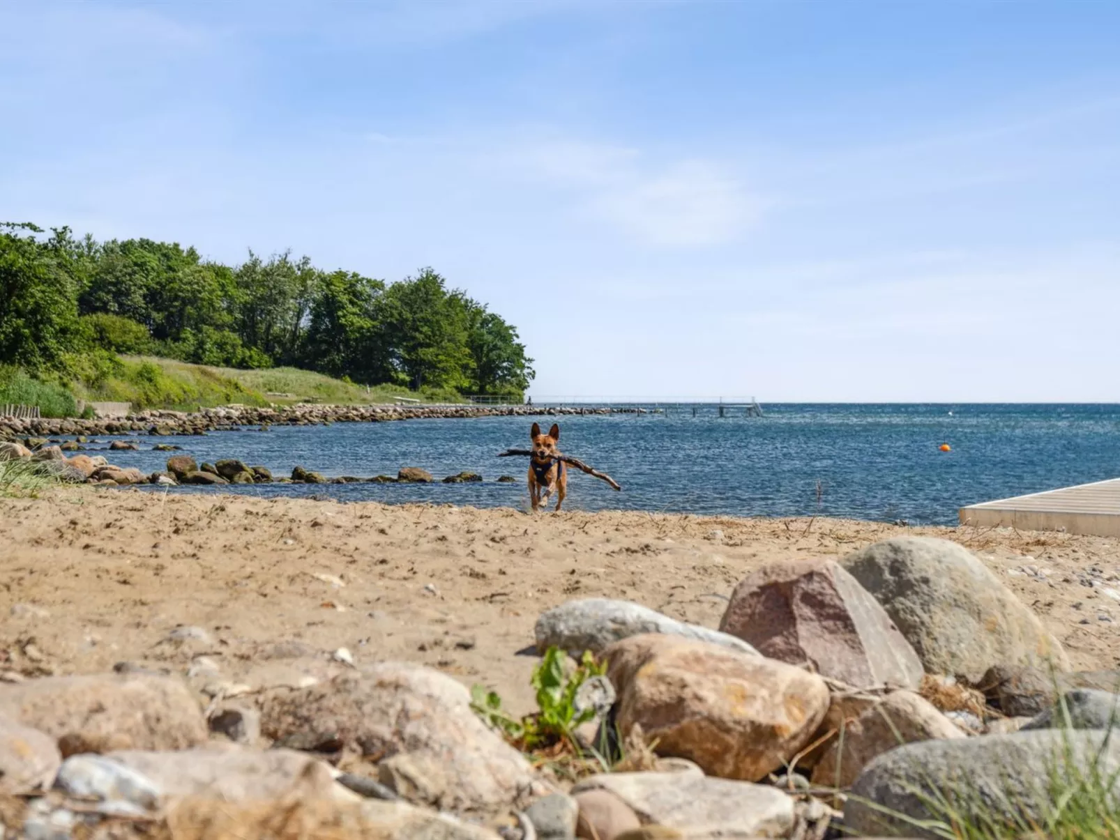 "Nahele" - 150m from the sea