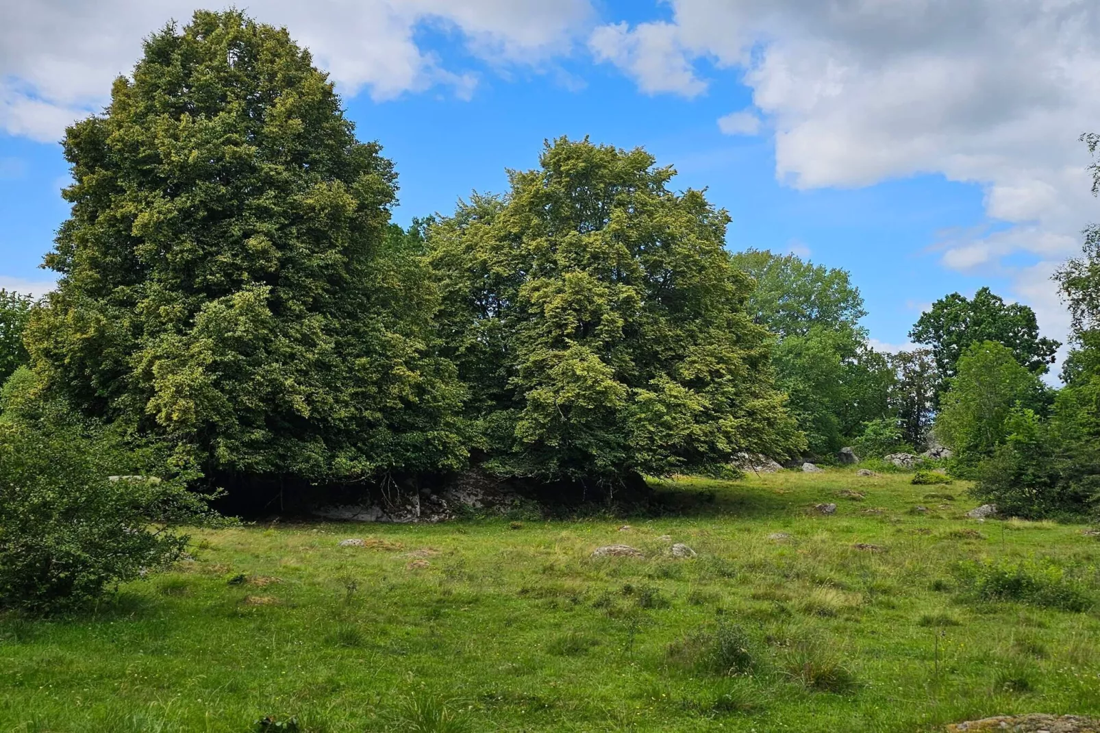 4 sterren vakantie huis in KARLSKRONA-Niet-getagd