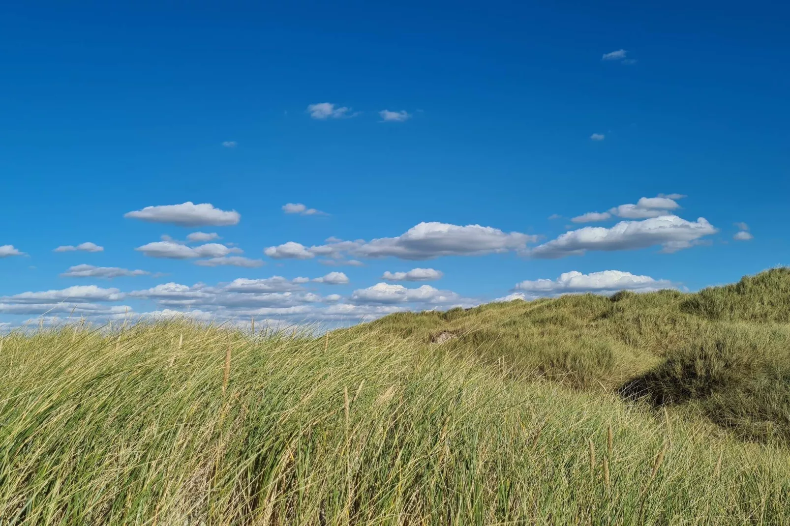 8 persoons vakantie huis in Pandrup-By Traum