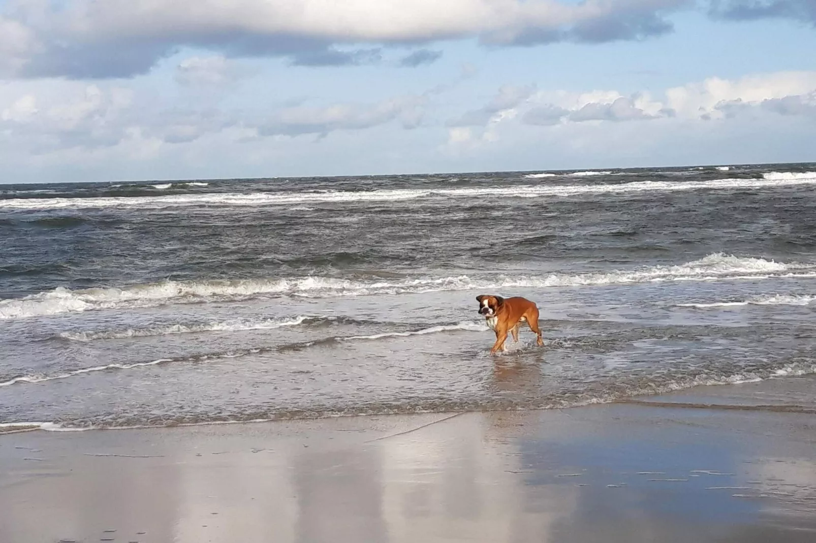 Luxe retraite in Romo -- By Traum Ferienwohnungen-Waterzicht