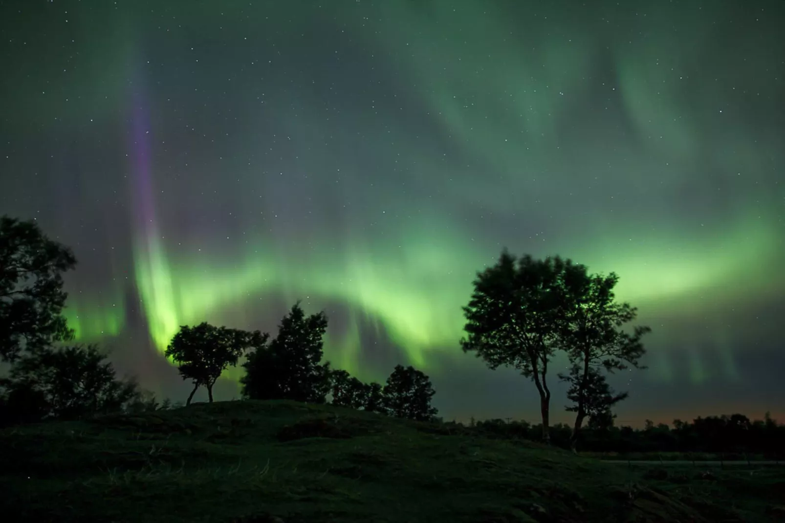 4 sterren vakantie huis in Naustbukta-Niet-getagd