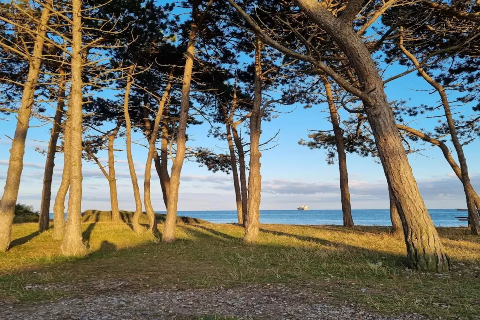 5 Personen vakantie huis in Knebel