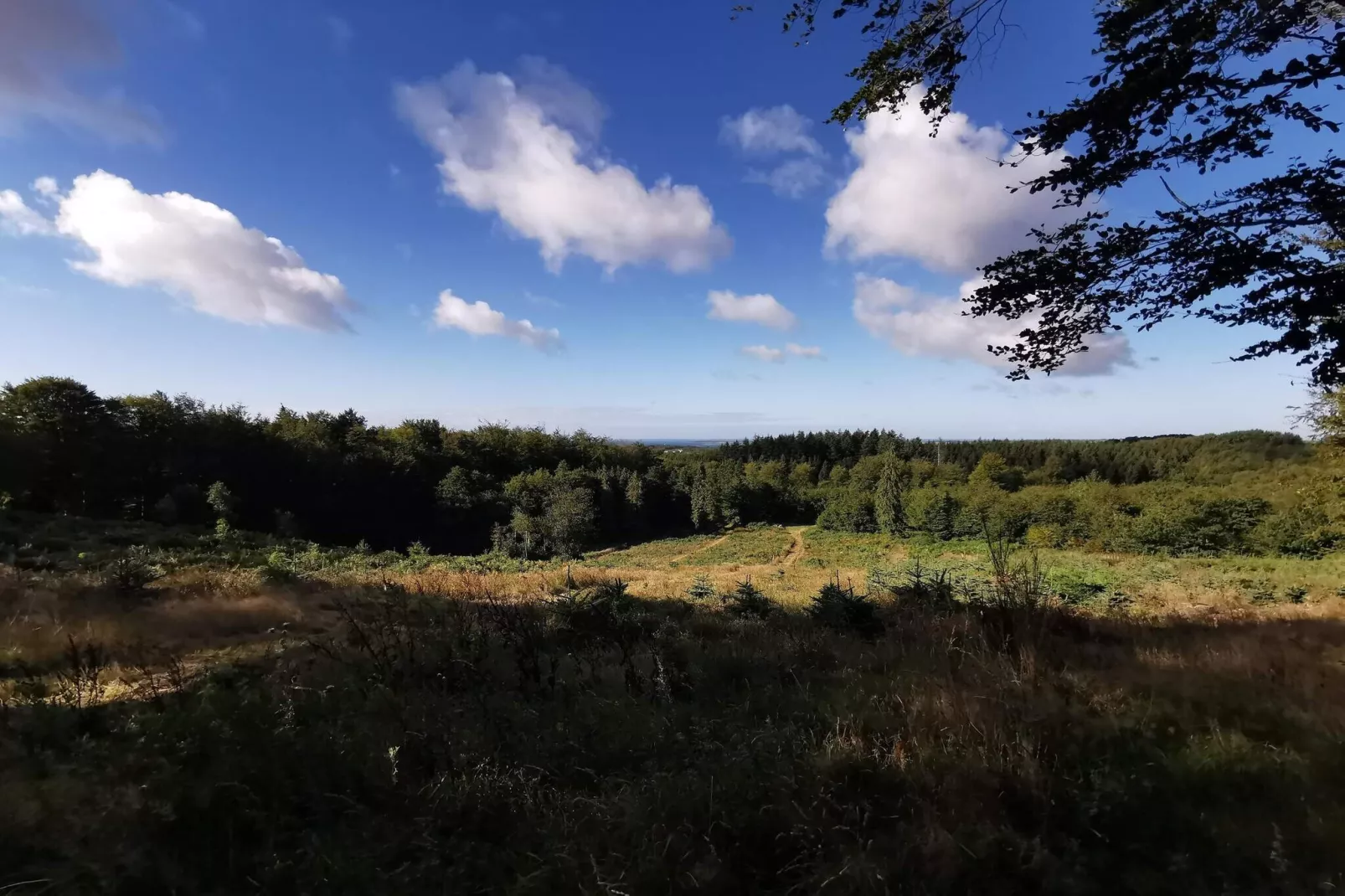Goed onderhouden vakantiehuis in Faborg