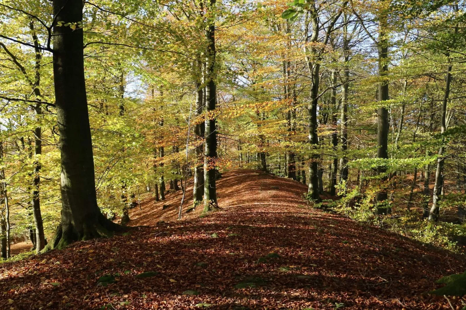 4 persoons vakantiehuis in Hoor-Niet-getagd