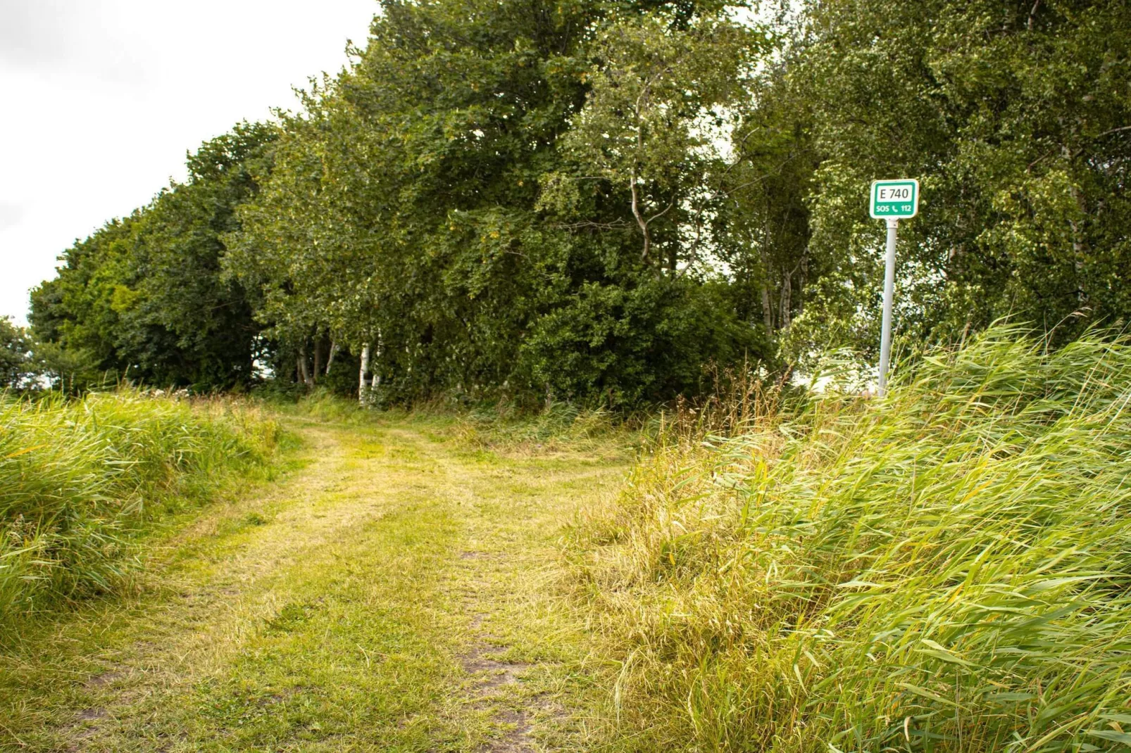 6 Personen vakantie huis in Nibe-Buitenlucht