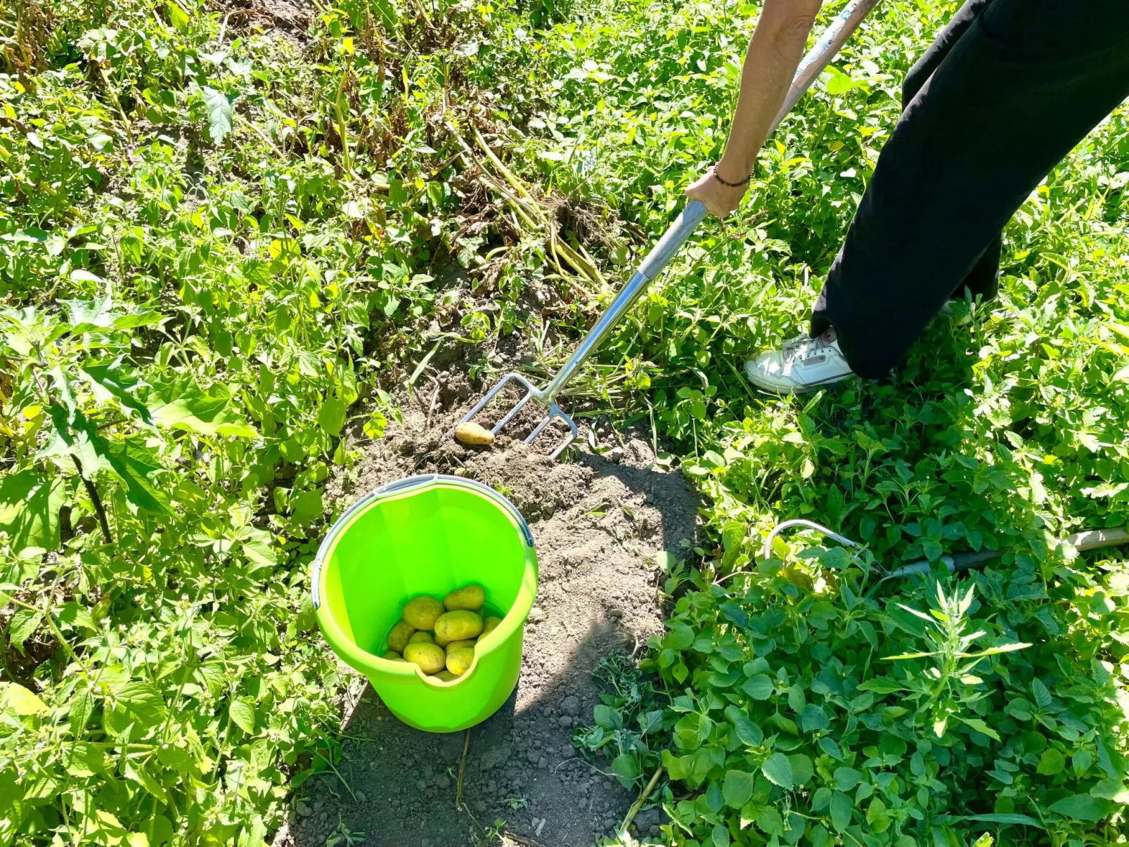 Glamping in der Orangerie-Buiten