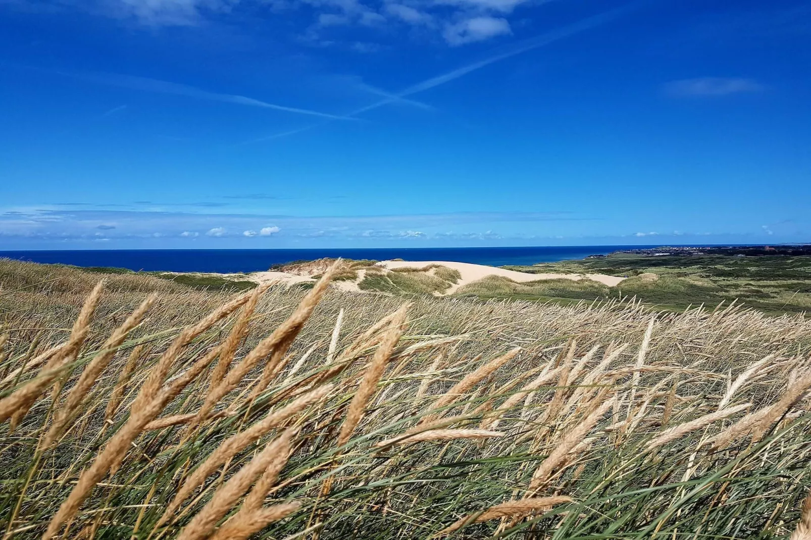 5 sterren vakantie huis in Løkken