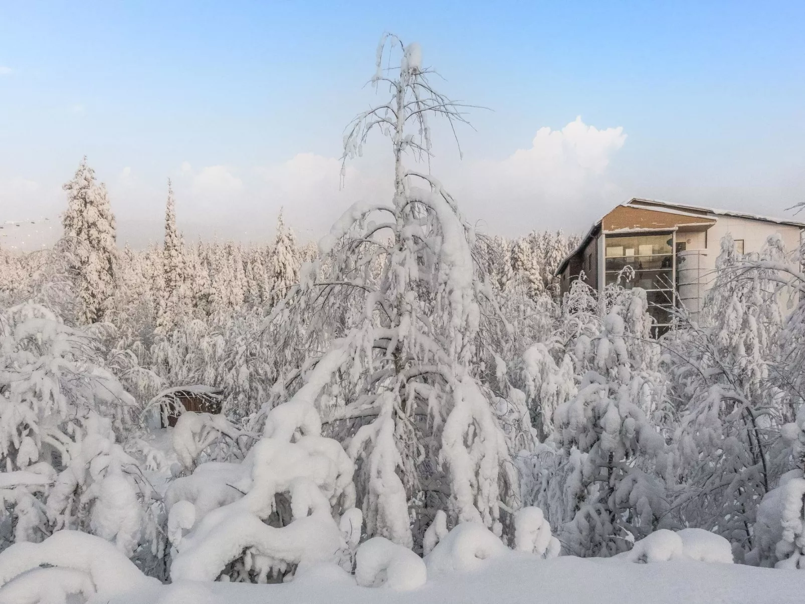 Tievan aurinkorinne dina