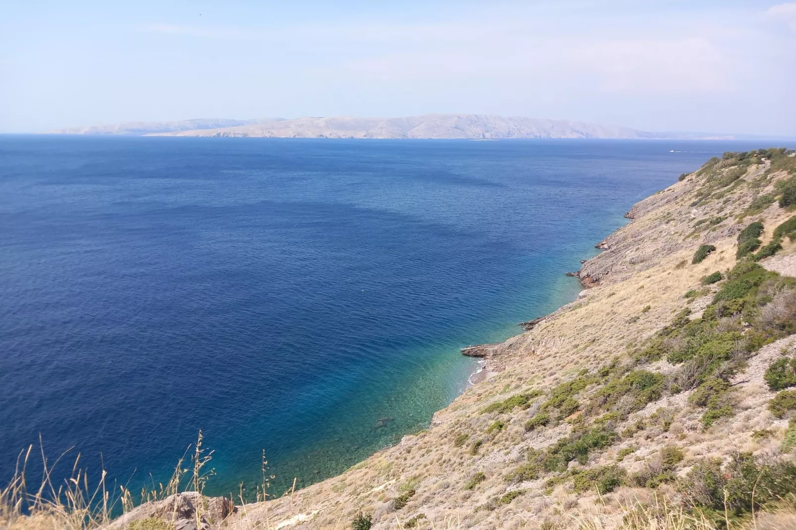 Niko 3-Gebieden zomer 1km