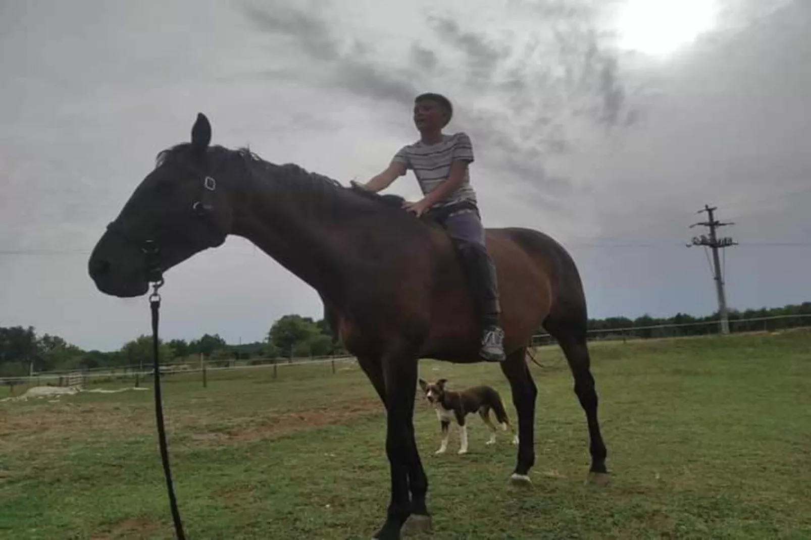 Apartment Mirna with Pool and Lovely Garden-Gebieden zomer 20km