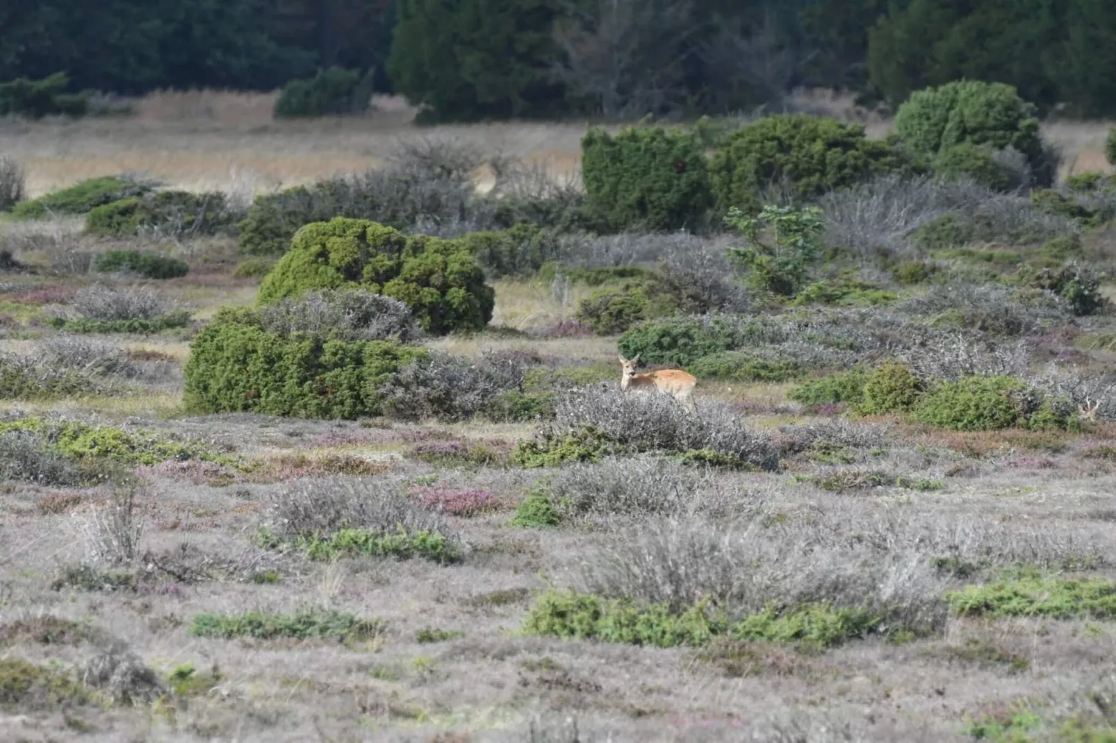 5 sterren vakantie huis in Hadsund-Niet-getagd