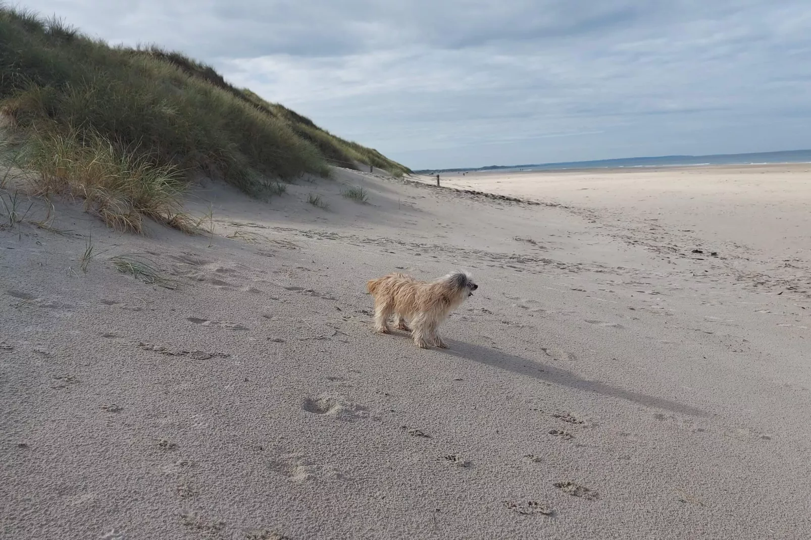 6 Personen vakantie huis in Pandrup-Buitenlucht