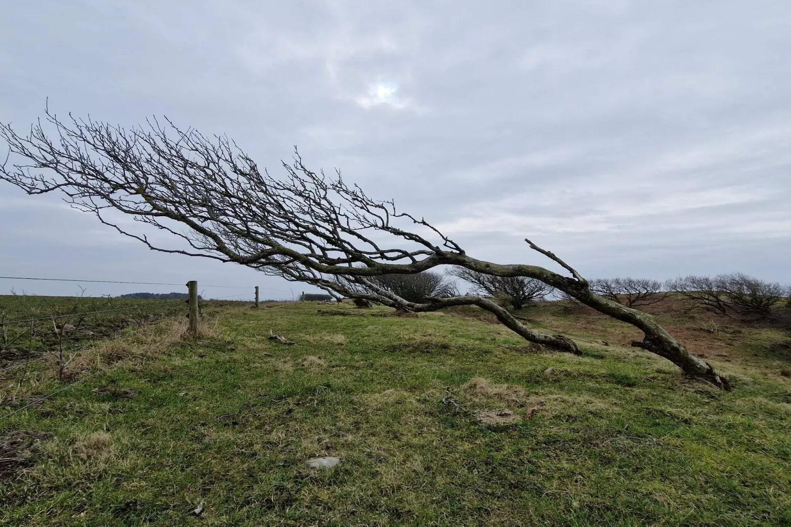 4 sterren vakantie huis in Spøttrup-Niet-getagd