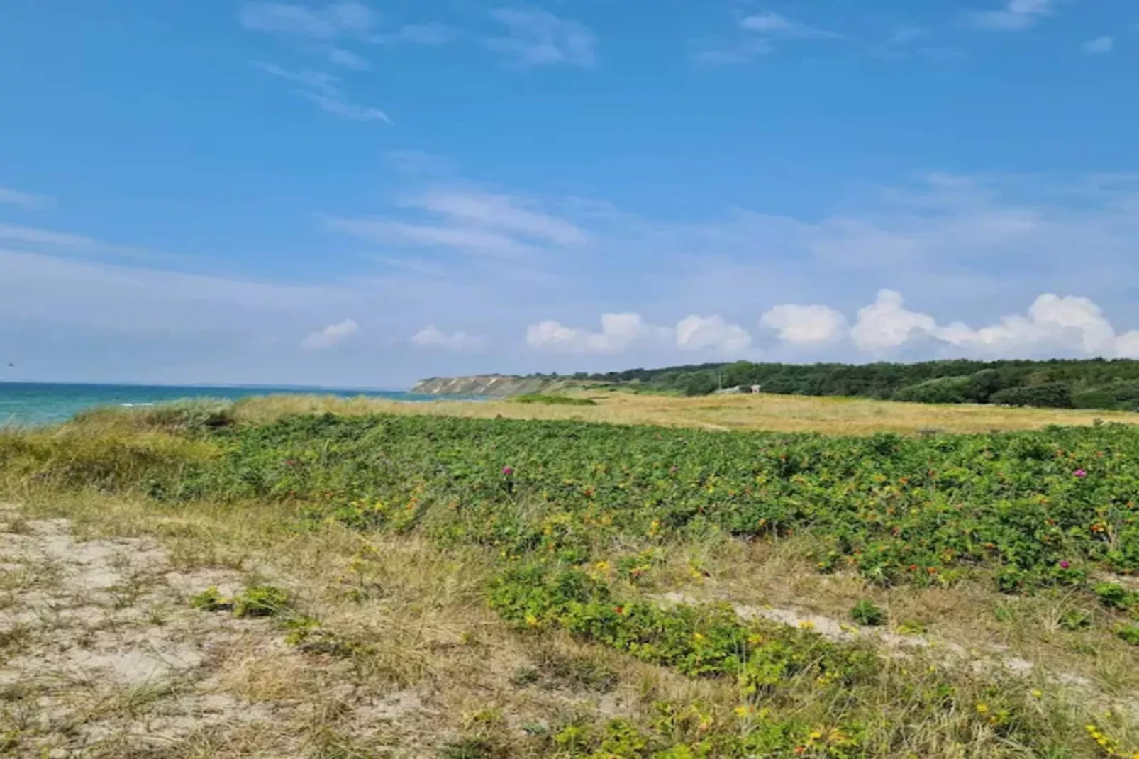 5 sterren vakantie huis in Humble-Niet-getagd