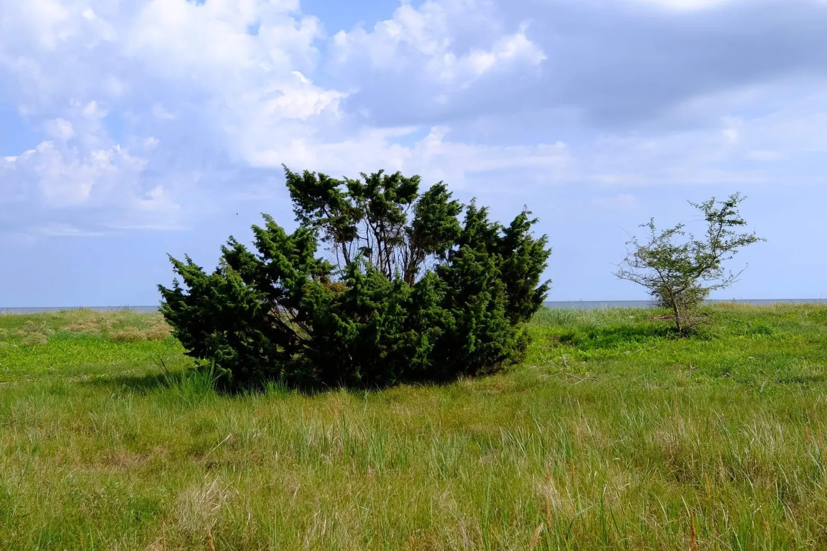 6 Personen vakantie huis in Gedser-Niet-getagd