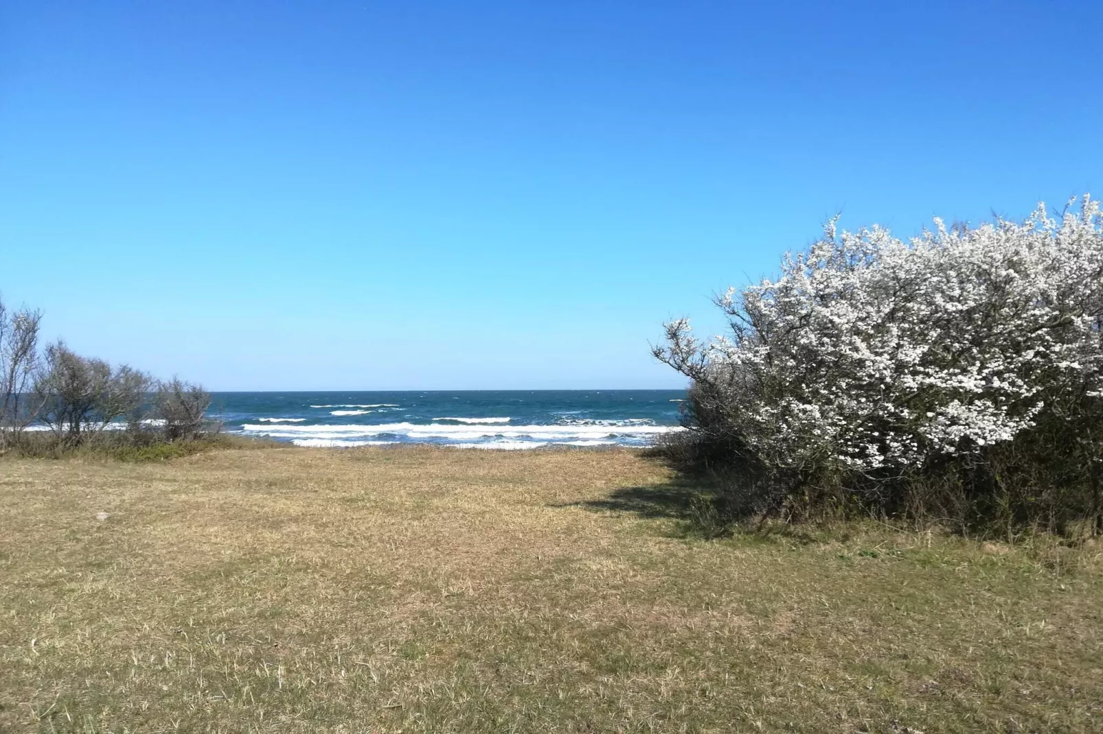 4 Personen vakantie huis in Gedser-Niet-getagd