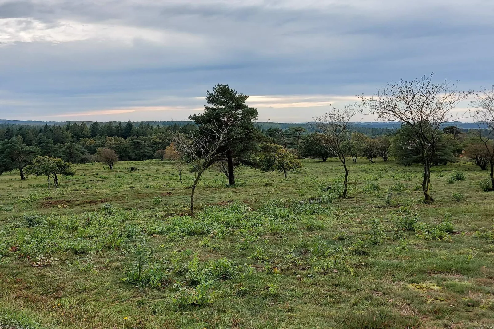 5 sterren vakantie huis in Farsø-Niet-getagd