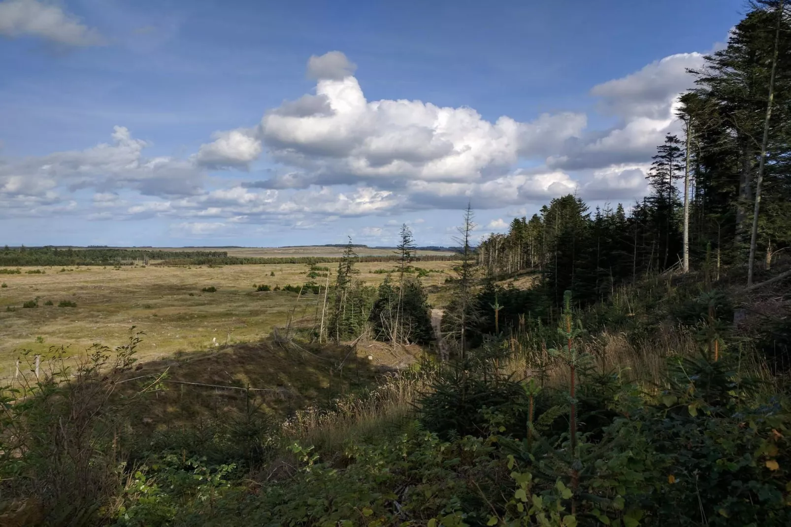 5 Personen vakantie huis in Snedsted-Niet-getagd