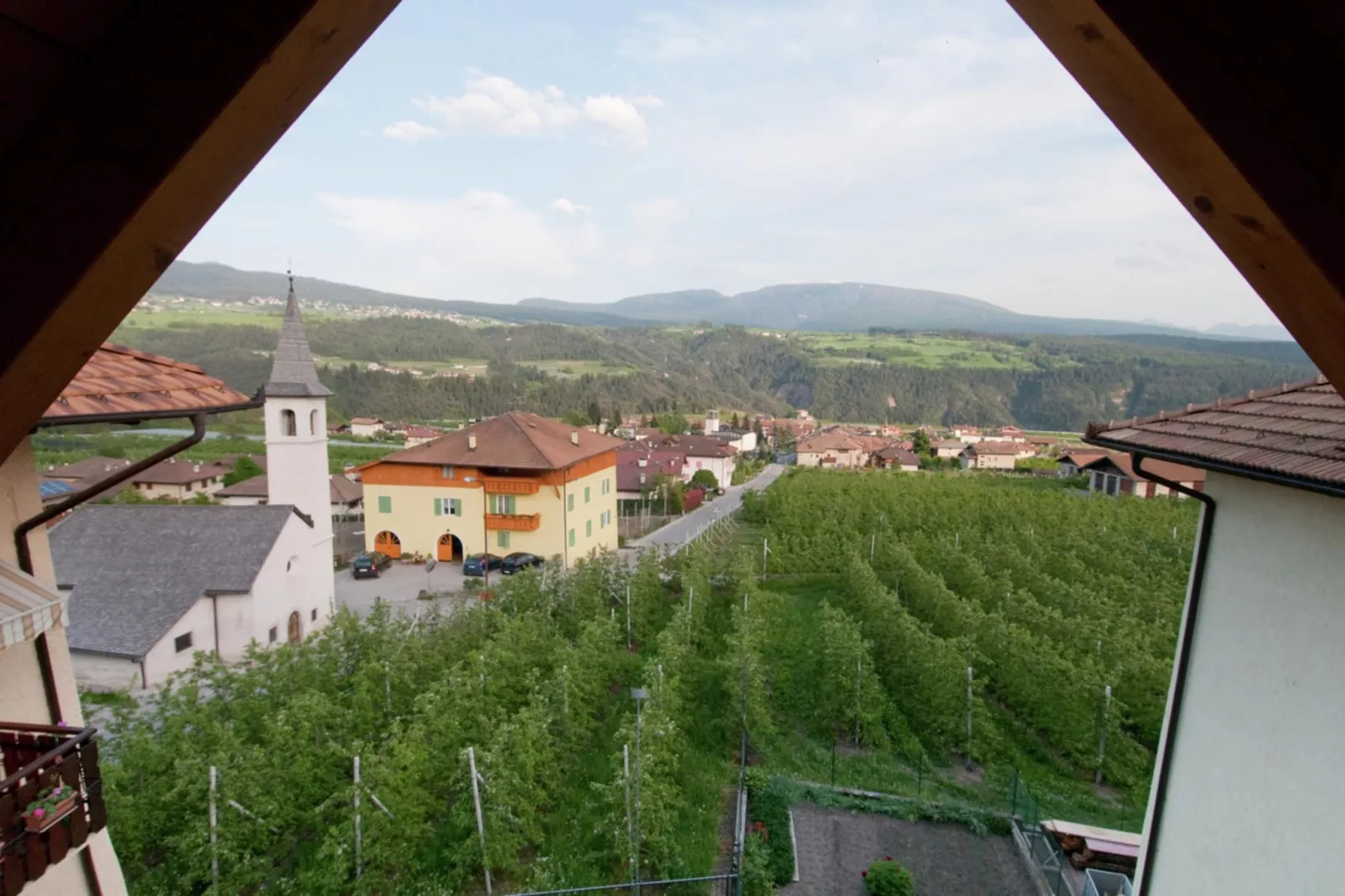 Pink Lady-Uitzicht zomer