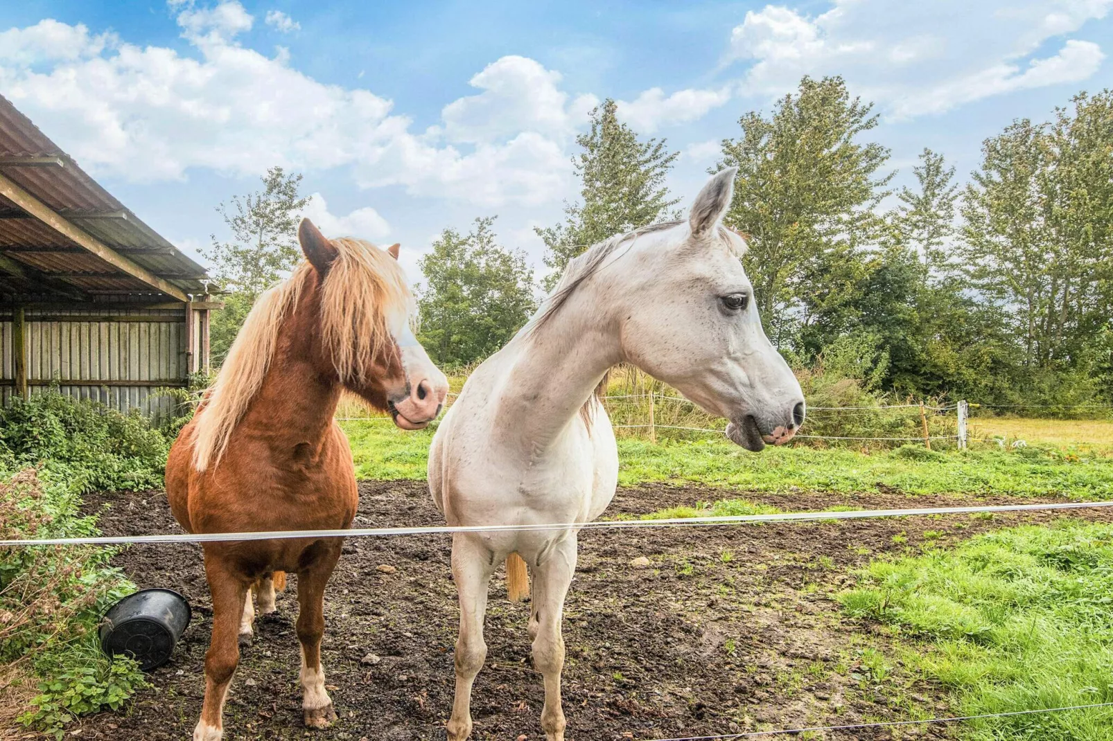 6 Personen vakantie huis in Gram-Uitzicht