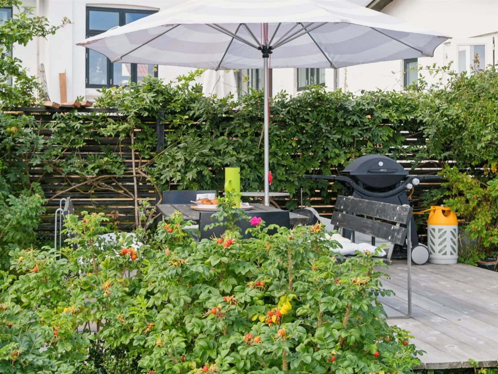 "Habbo" - 300m from the sea